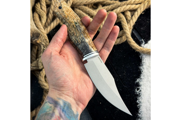 Нож Аркуда (AUS10Cobalt, стаб. карельская береза)